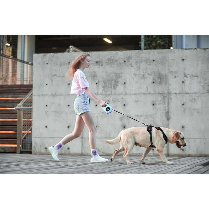 AML-001,Animal Leash With LED Torch