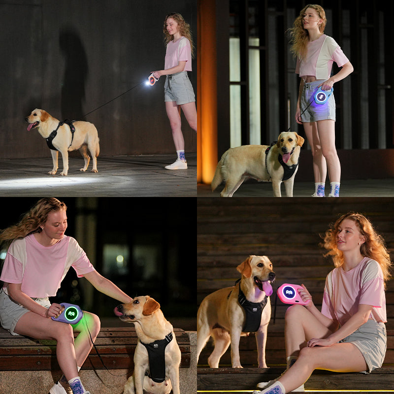 AML-001,Animal Leash With LED Torch