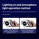 AML-001,Animal Leash With LED Torch