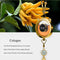 CAF-003-AUDI, Refillable AUDI Car Air Freshener Pendant With 10ml Essential Oils