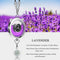 CAF-003-BENZ, Refillable Mercedes-Benz Car Air Freshener Pendant With 10ml Essential Oils