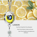 CAF-003-BMW, Refillable BMW Car Air Freshener Pendant With 10ml Essential Oils